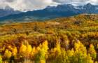 USA-Colorado Panoramic of San Juan Mountains and valley forest in autumn Art Print
